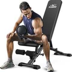 FLYBIRD Adjustable Bench vs. Lusper Adjustable Weight Bench